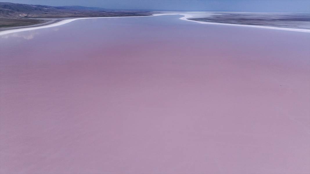Kavurucu sıcaklar Tuz Gölü'nü kızarttı! Bakteriler cirit atıyor 3